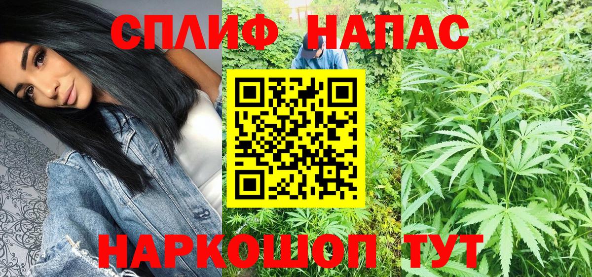 Бошки Шишки гибрид Зеленогорск